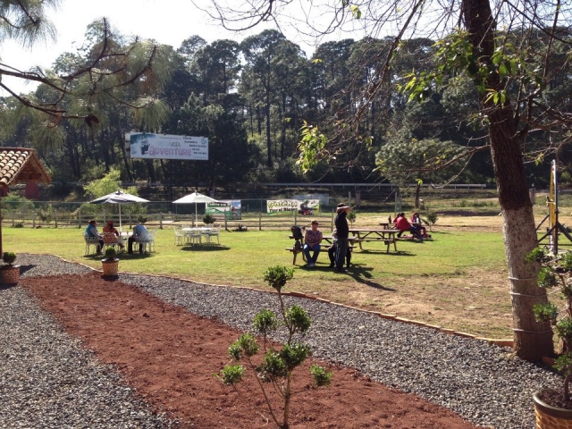  Goditi le nostre strutture all'aperto 